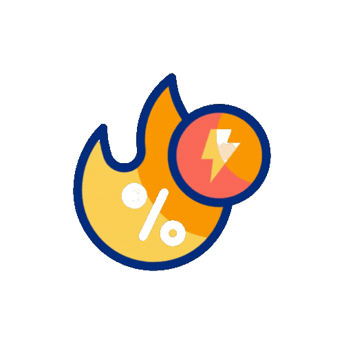 Flash Sale